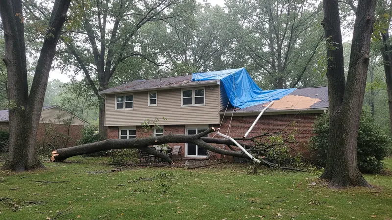 The morning after: a limb down and a tarp over stripped decking Storm damage work in Howard County, MD.